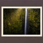 Akaka Falls Aloha