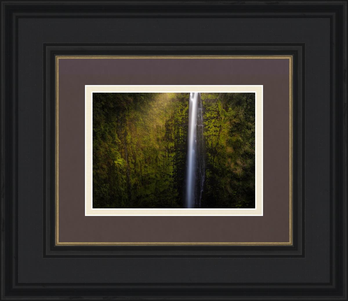 Akaka Falls Aloha