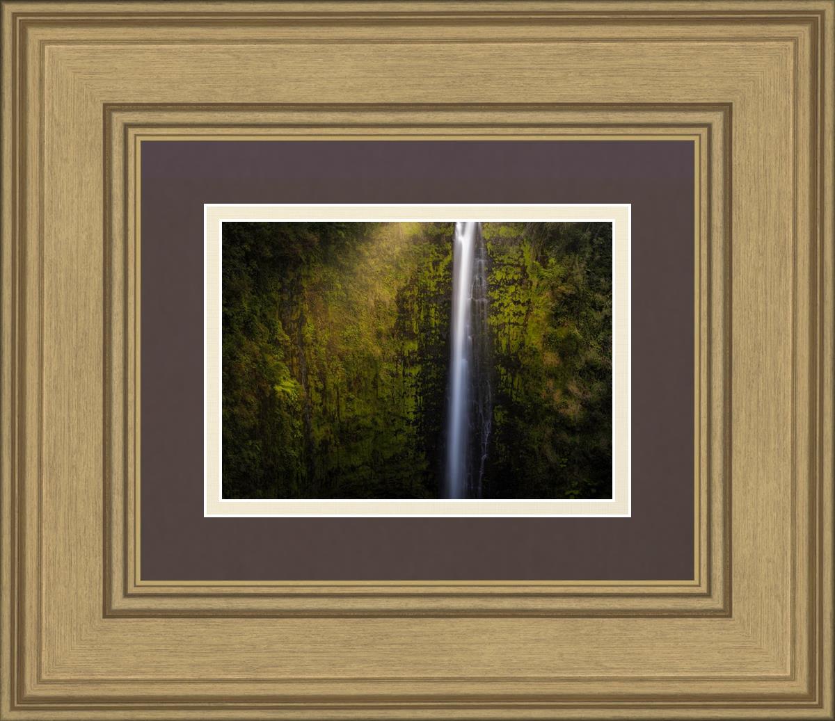 Akaka Falls Aloha