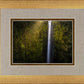 Akaka Falls Aloha
