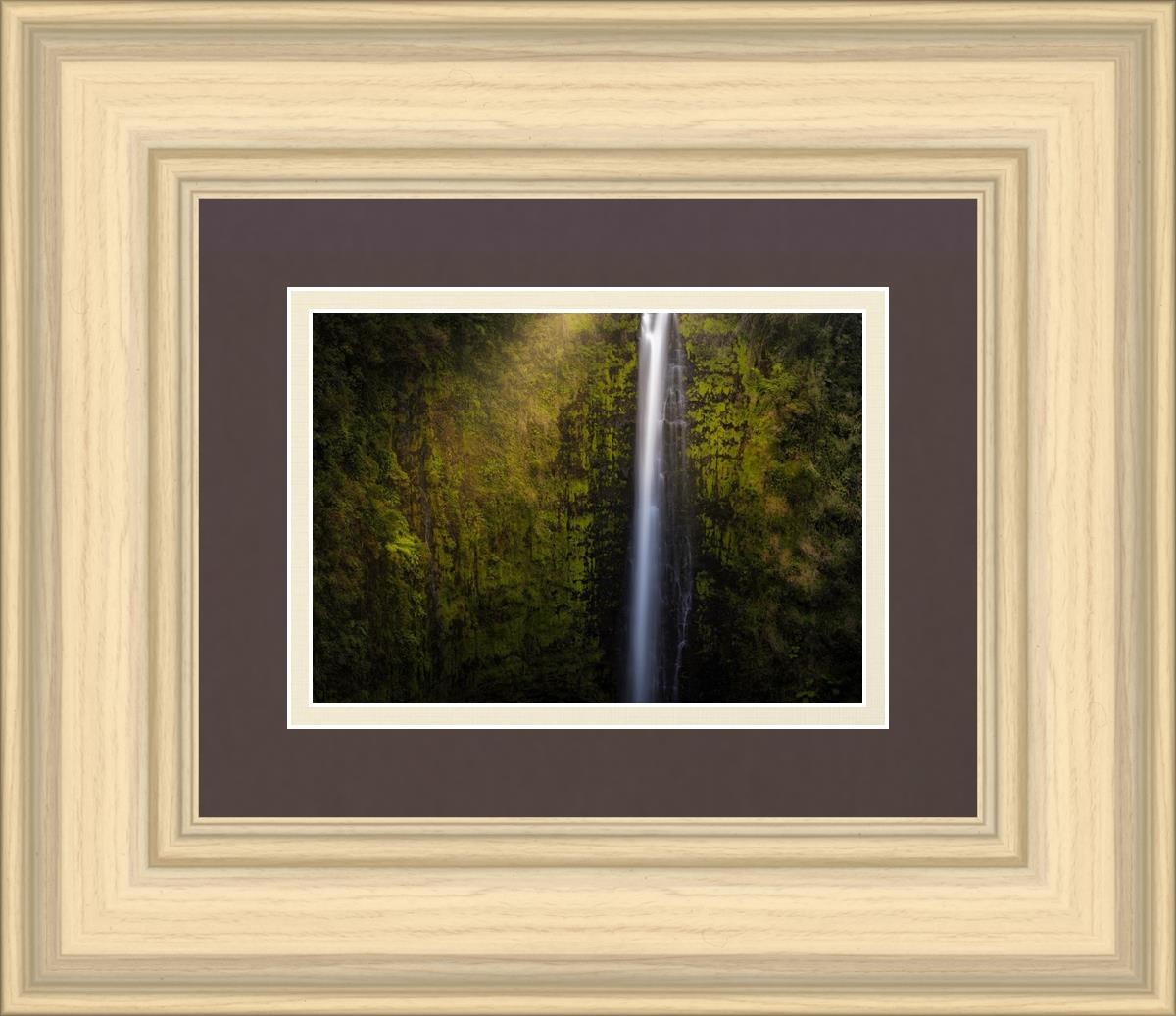 Akaka Falls Aloha
