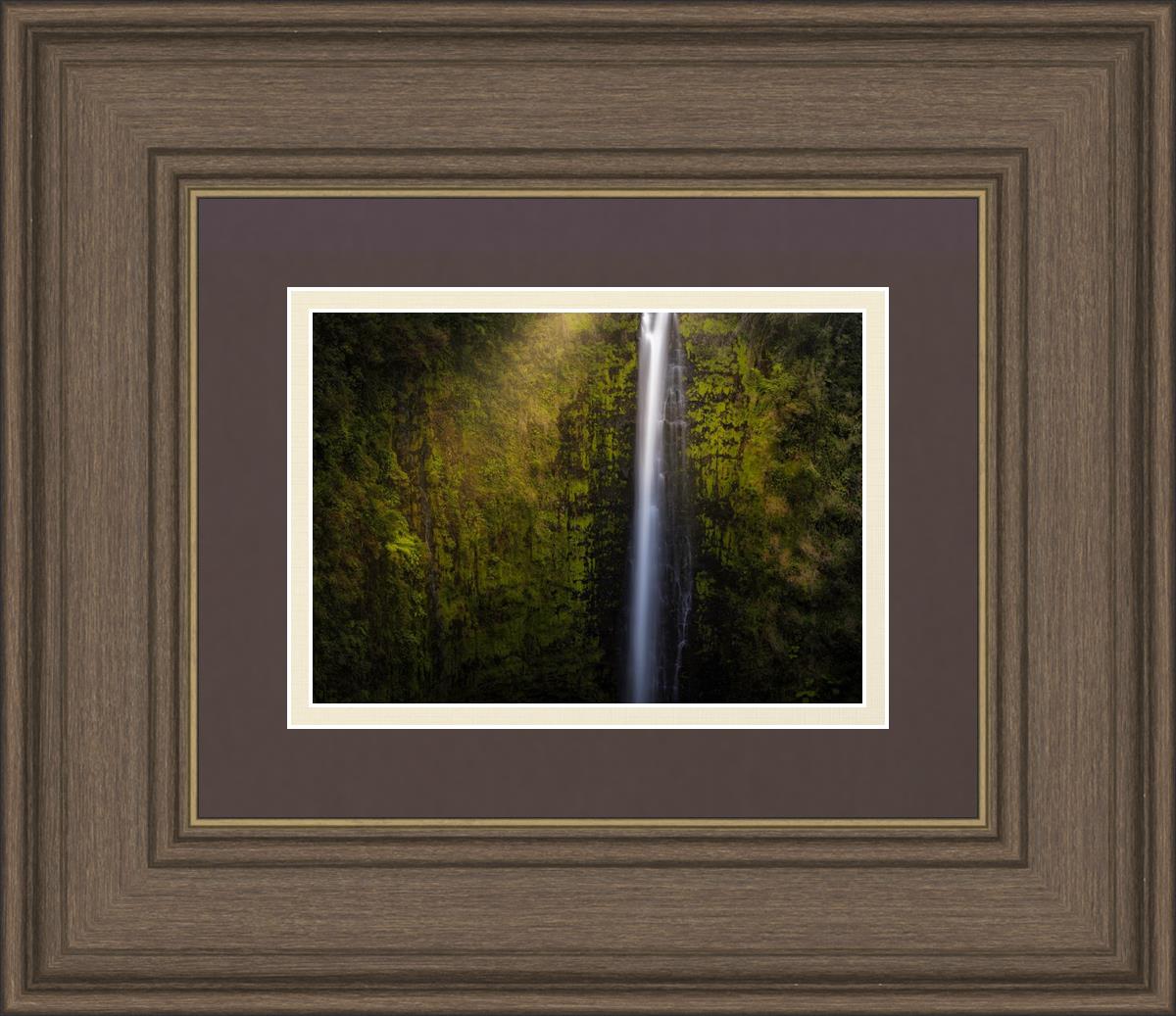 Akaka Falls Aloha