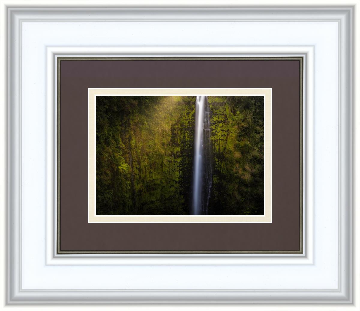 Akaka Falls Aloha
