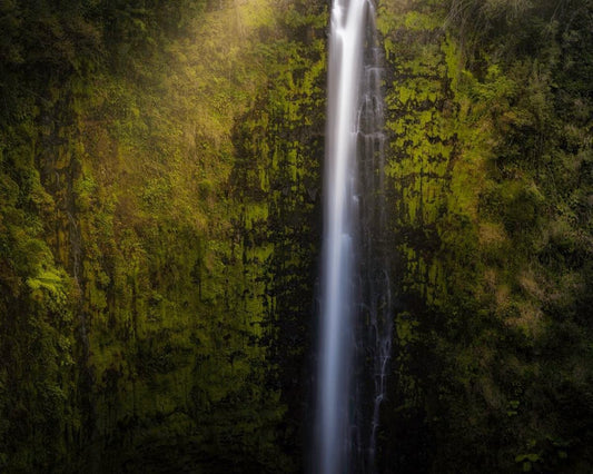 Akaka Falls Aloha Gallery Wrap