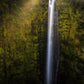 Akaka Falls Aloha