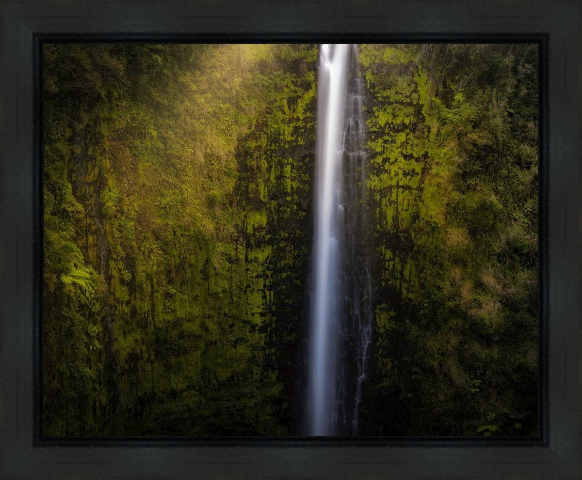 Akaka Falls Aloha Gallery Wrap