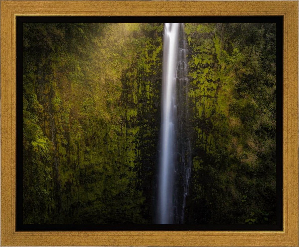 Akaka Falls Aloha Gallery Wrap