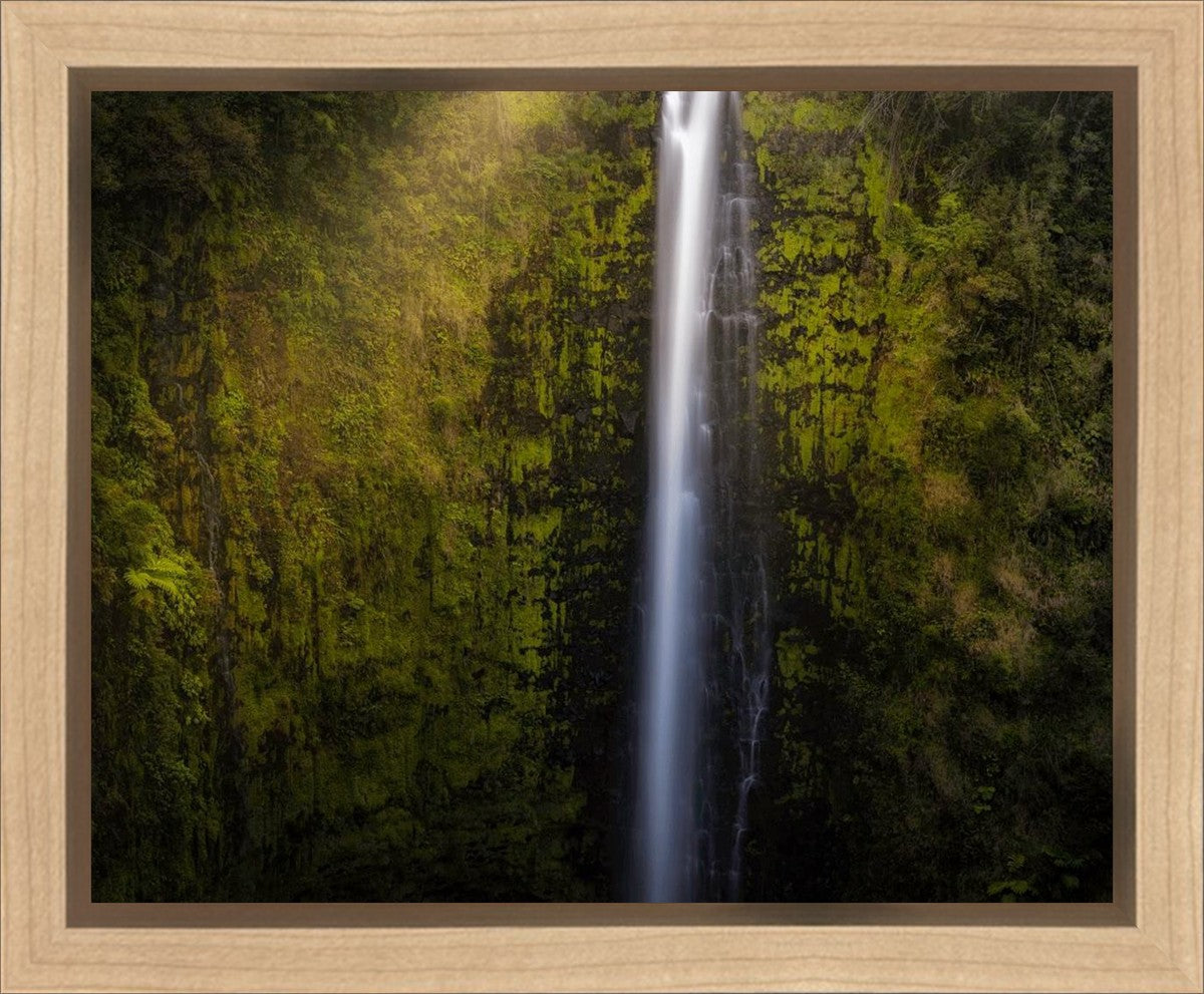 Akaka Falls Aloha Gallery Wrap