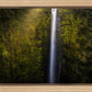 Akaka Falls Aloha
