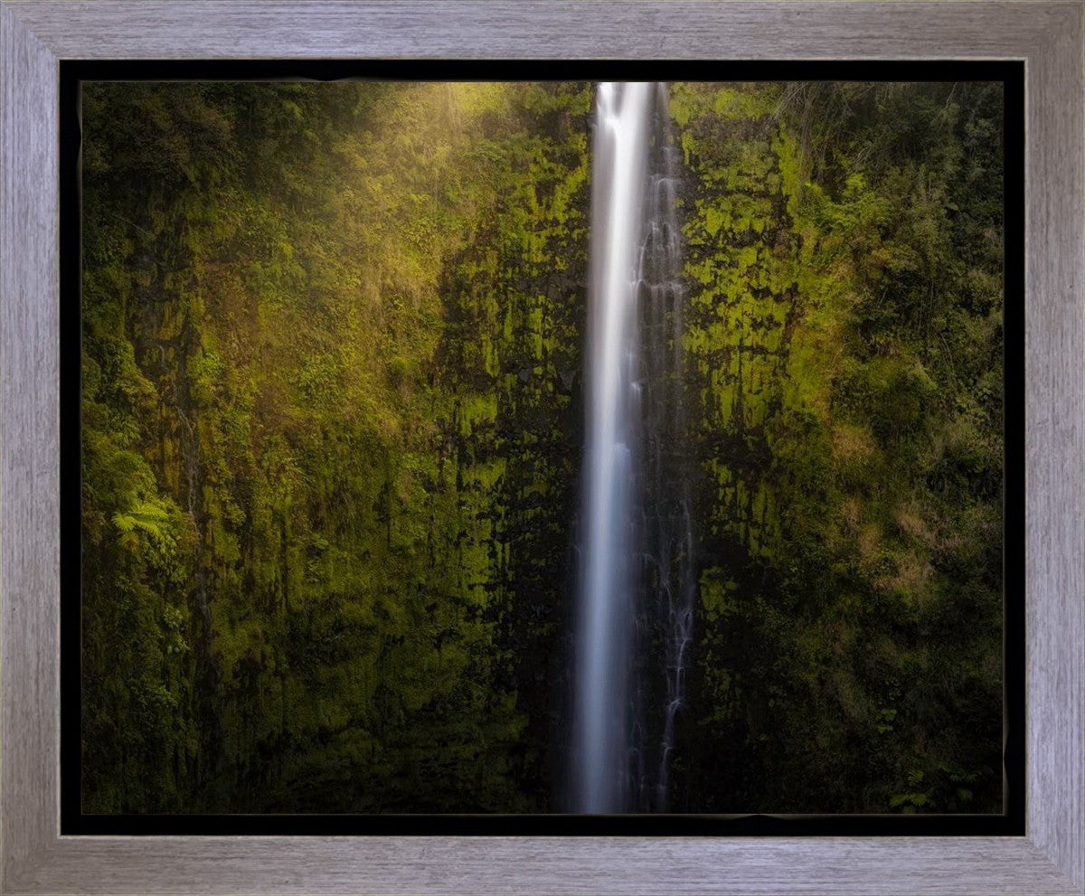 Akaka Falls Aloha Gallery Wrap