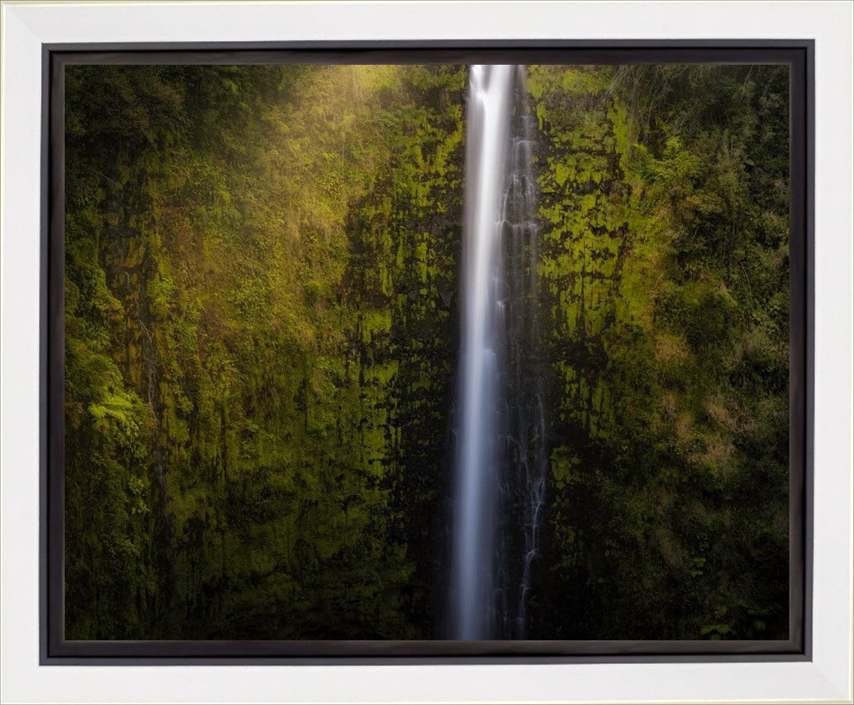 Akaka Falls Aloha Gallery Wrap