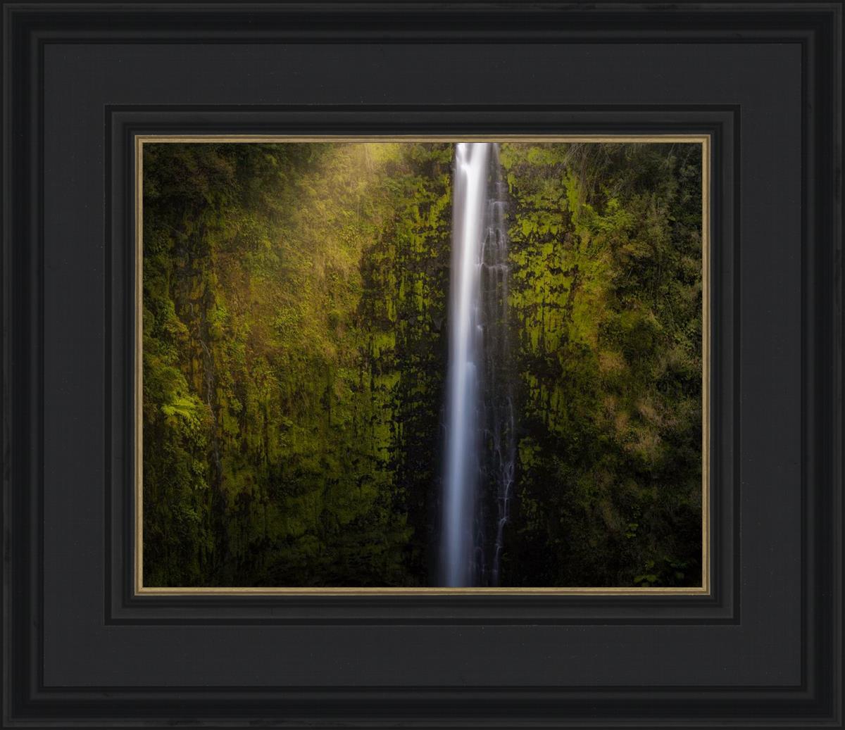 Akaka Falls Aloha