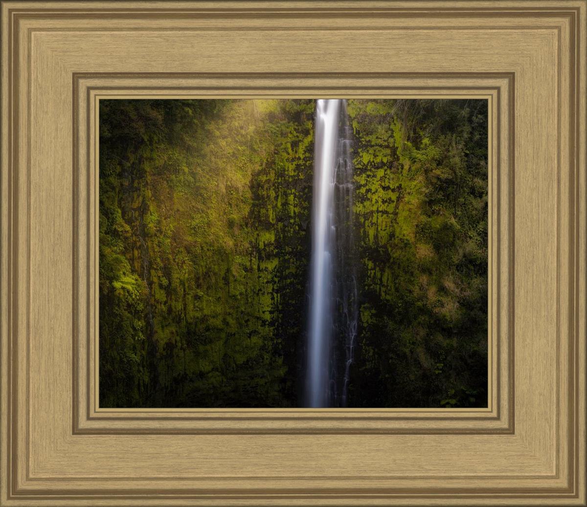 Akaka Falls Aloha