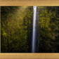 Akaka Falls Aloha