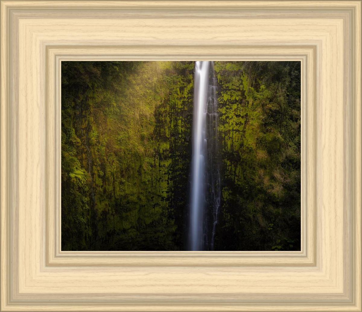 Akaka Falls Aloha