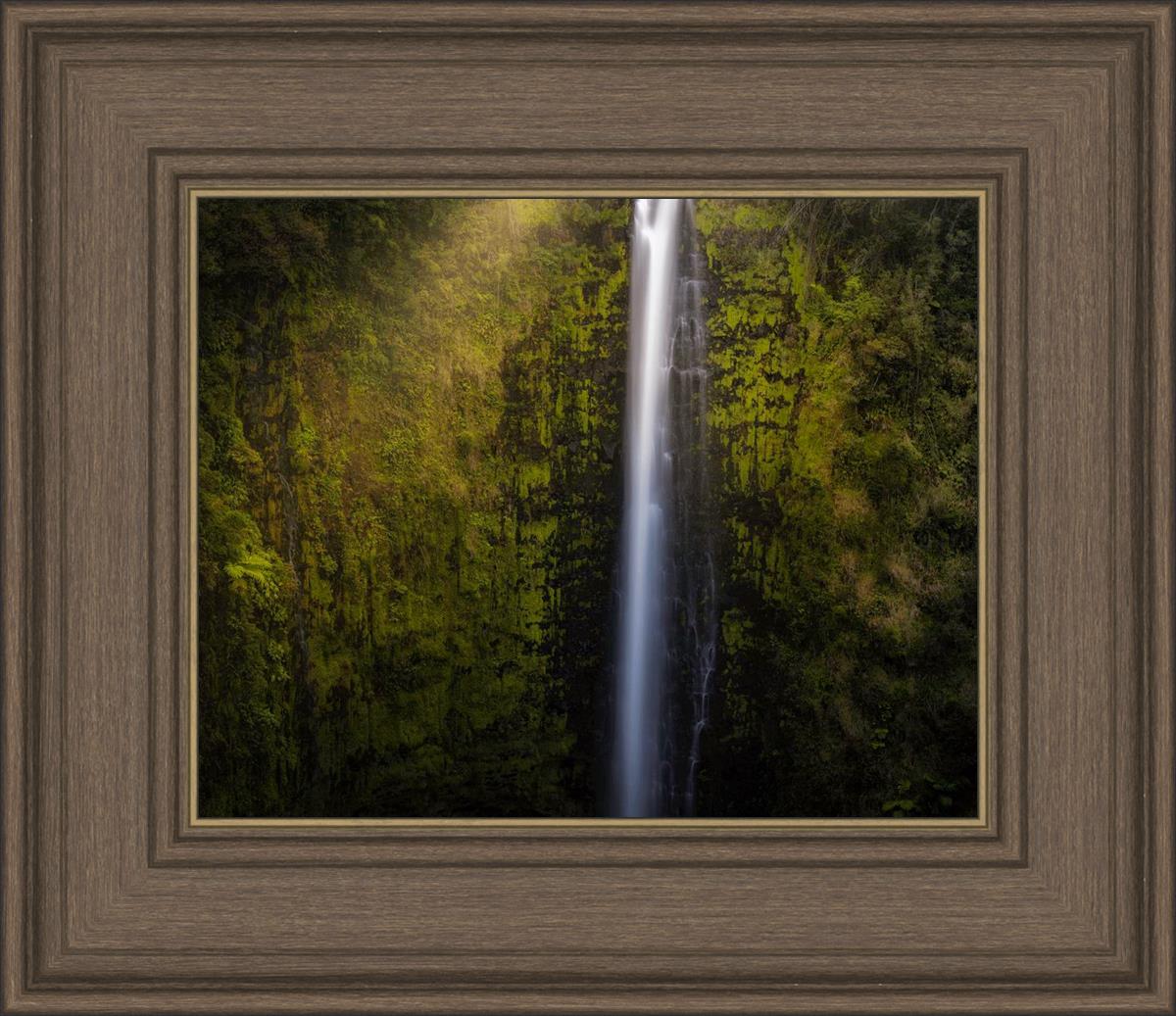 Akaka Falls Aloha