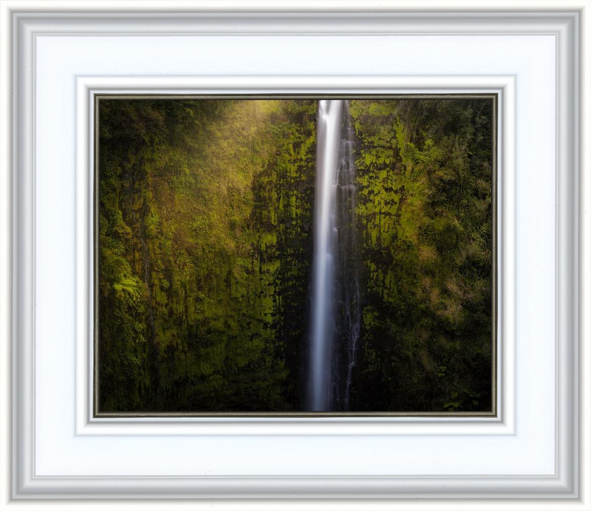 Akaka Falls Aloha