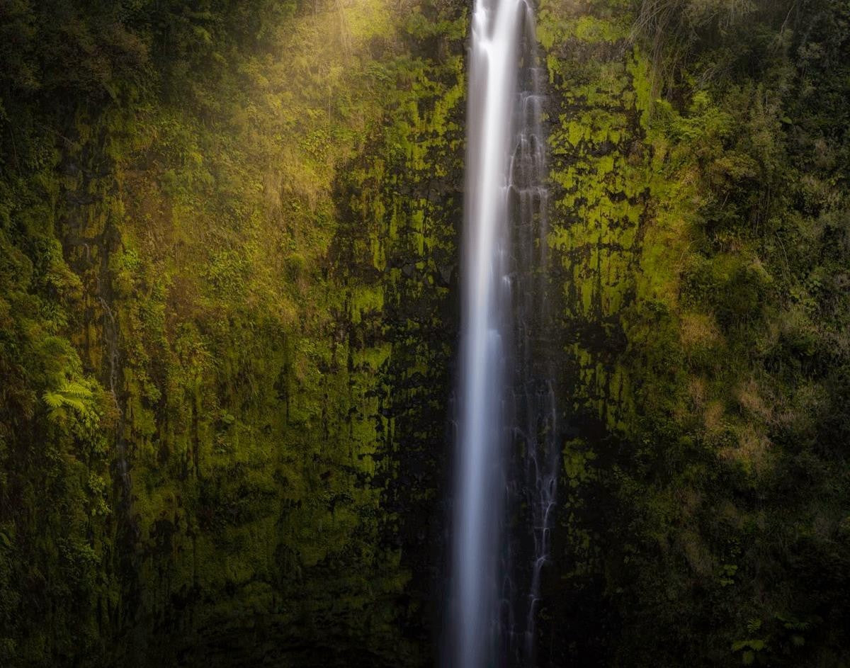 Akaka Falls Aloha Gallery Wrap
