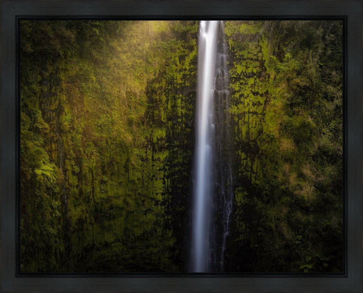 Akaka Falls Aloha Gallery Wrap
