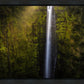Akaka Falls Aloha