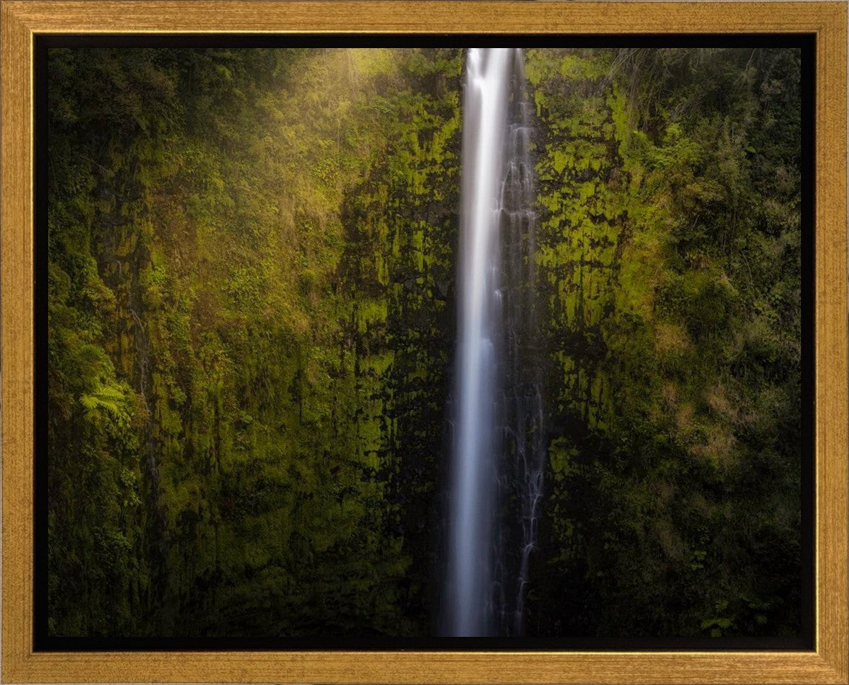 Akaka Falls Aloha Gallery Wrap