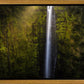 Akaka Falls Aloha