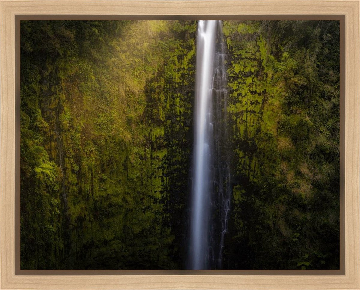 Akaka Falls Aloha Gallery Wrap
