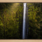 Akaka Falls Aloha
