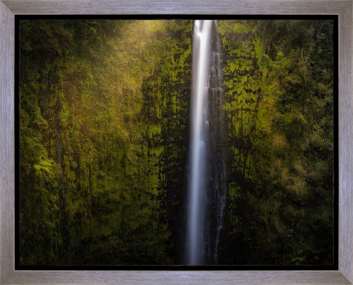 Akaka Falls Aloha Gallery Wrap