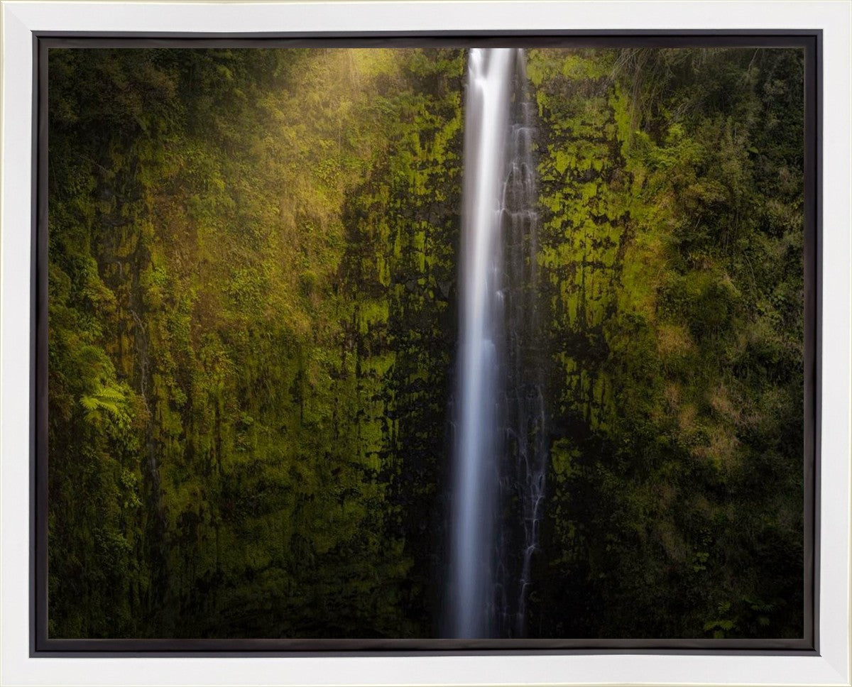 Akaka Falls Aloha Gallery Wrap