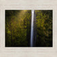 Akaka Falls Aloha