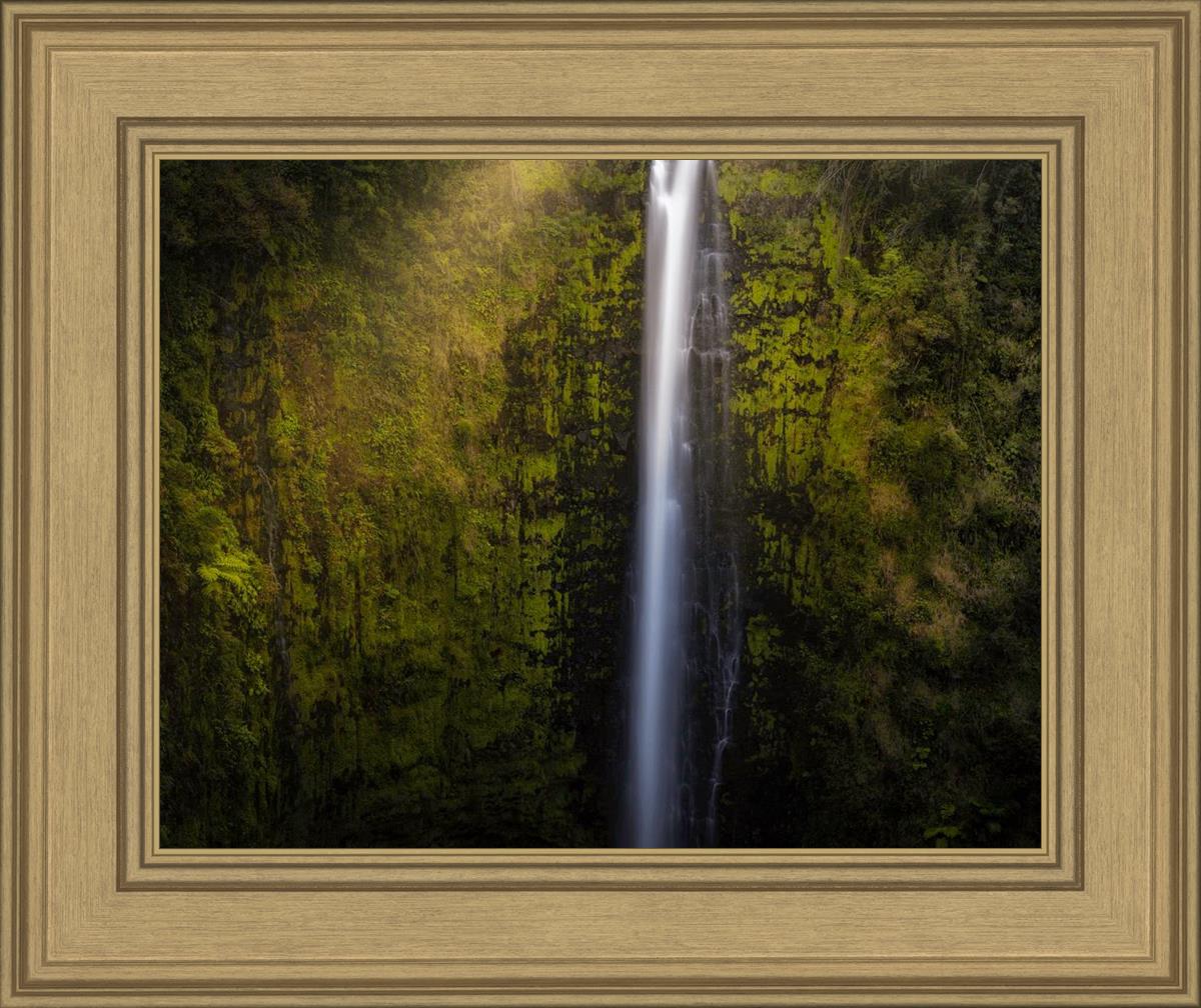 Akaka Falls Aloha