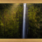 Akaka Falls Aloha