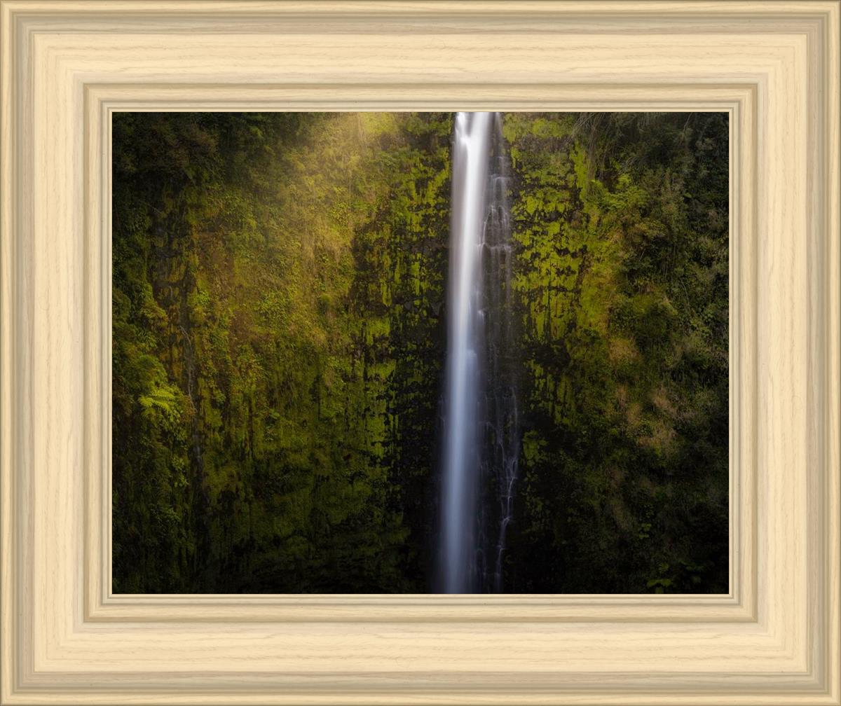 Akaka Falls Aloha