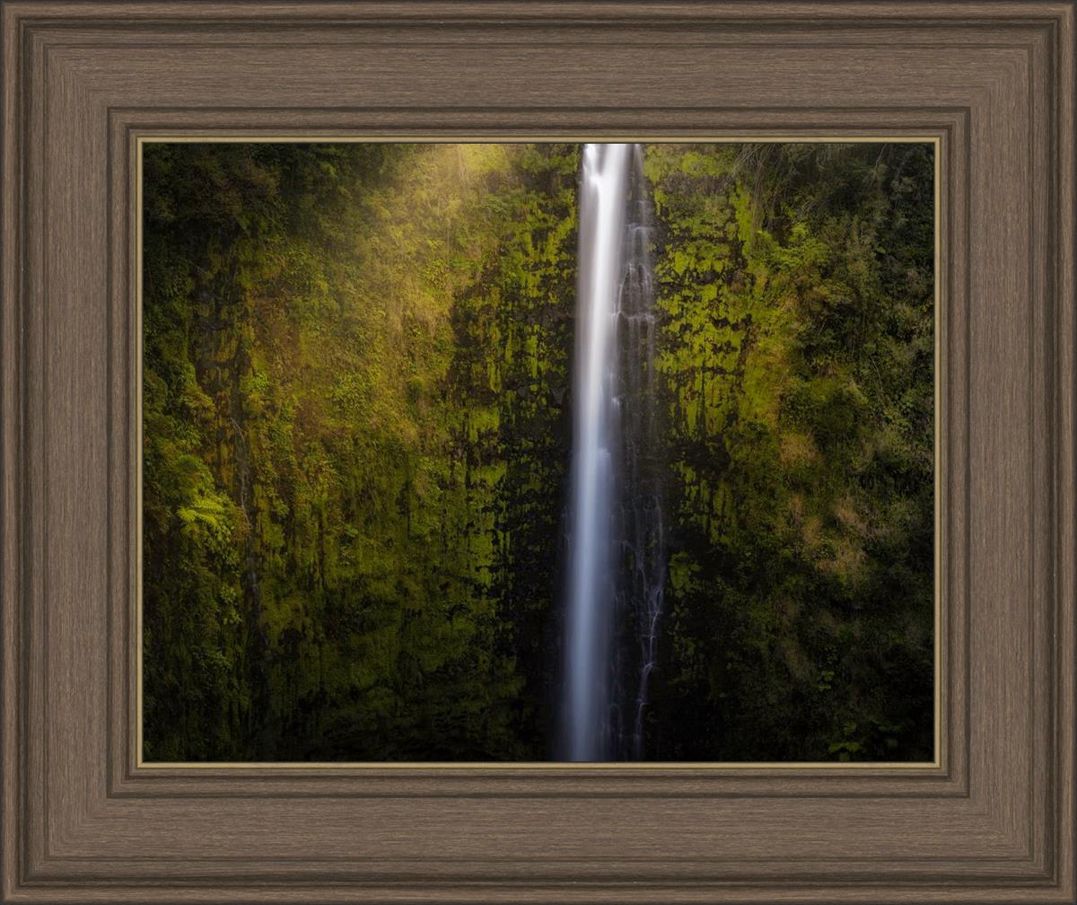 Akaka Falls Aloha