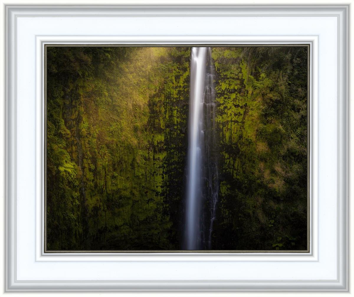 Akaka Falls Aloha