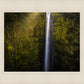 Akaka Falls Aloha