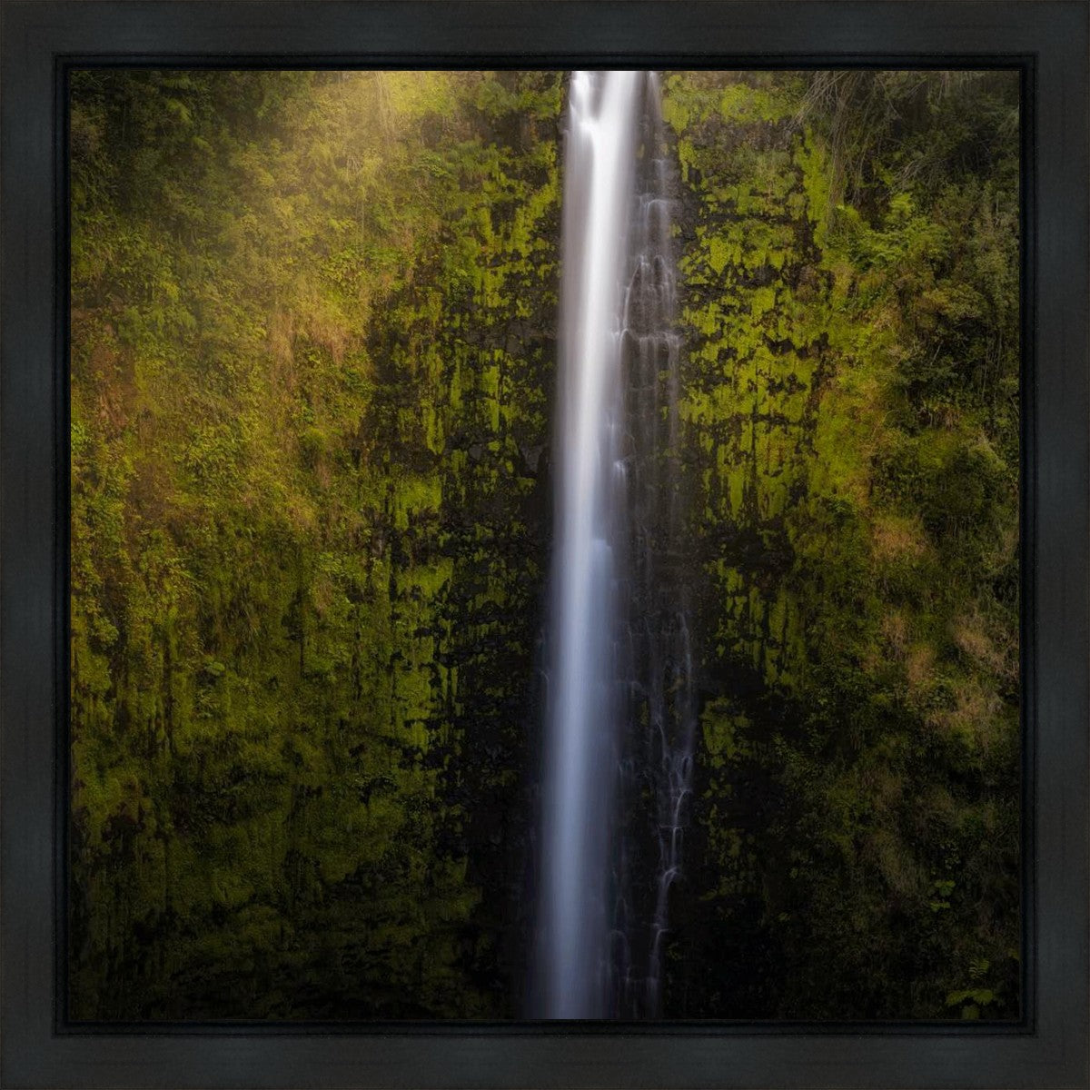 Akaka Falls Aloha Gallery Wrap
