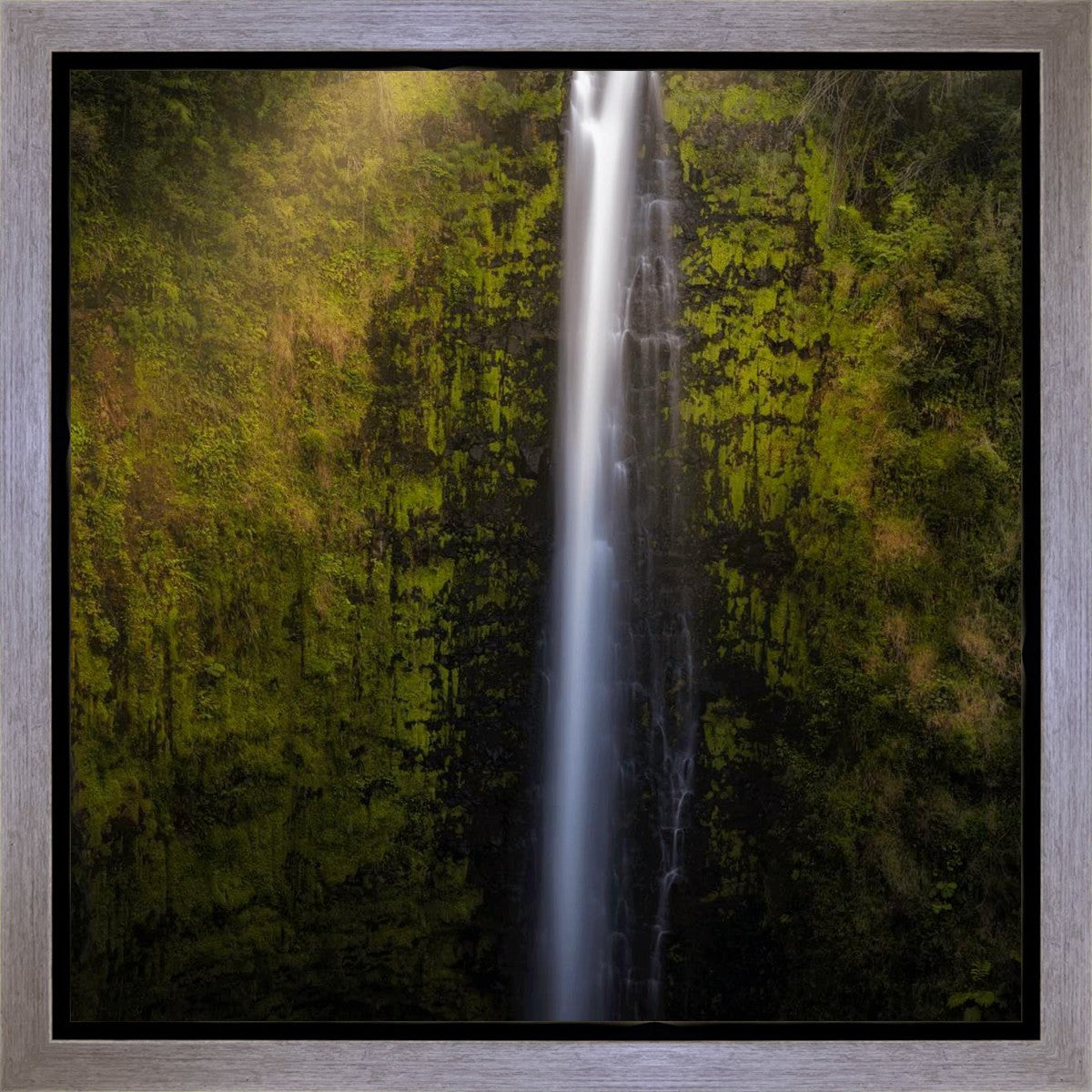 Akaka Falls Aloha Gallery Wrap