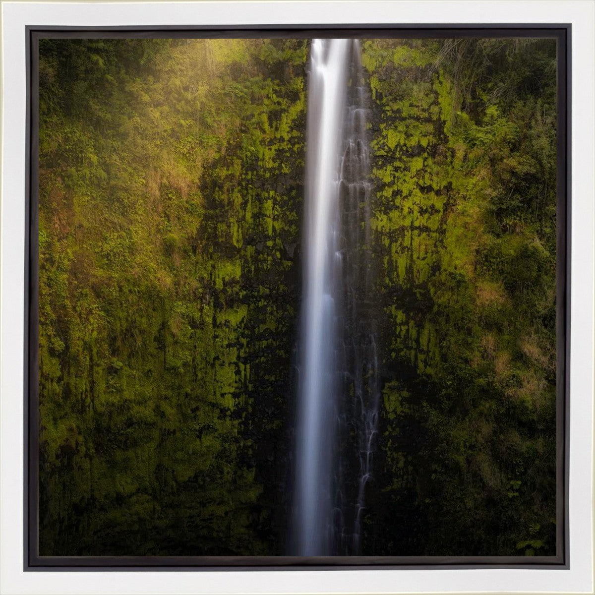Akaka Falls Aloha Gallery Wrap