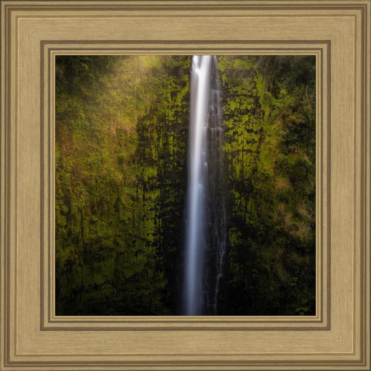 Akaka Falls Aloha