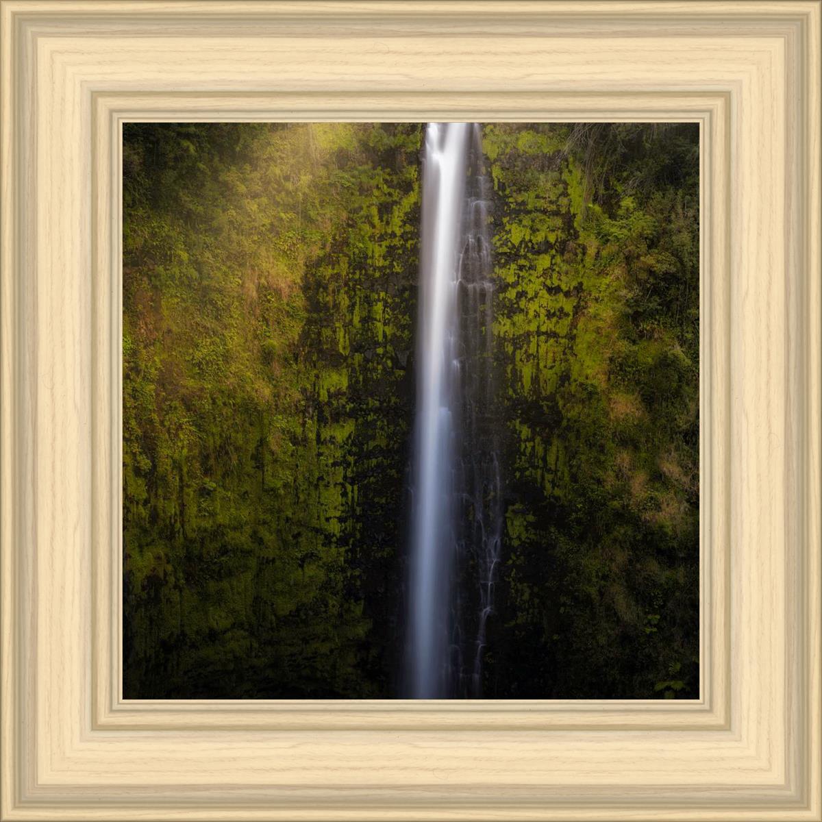 Akaka Falls Aloha