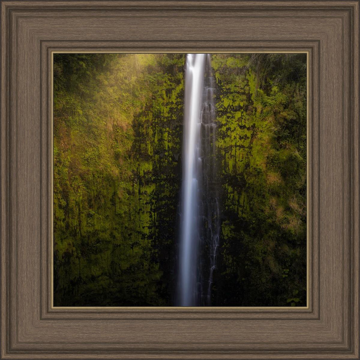 Akaka Falls Aloha