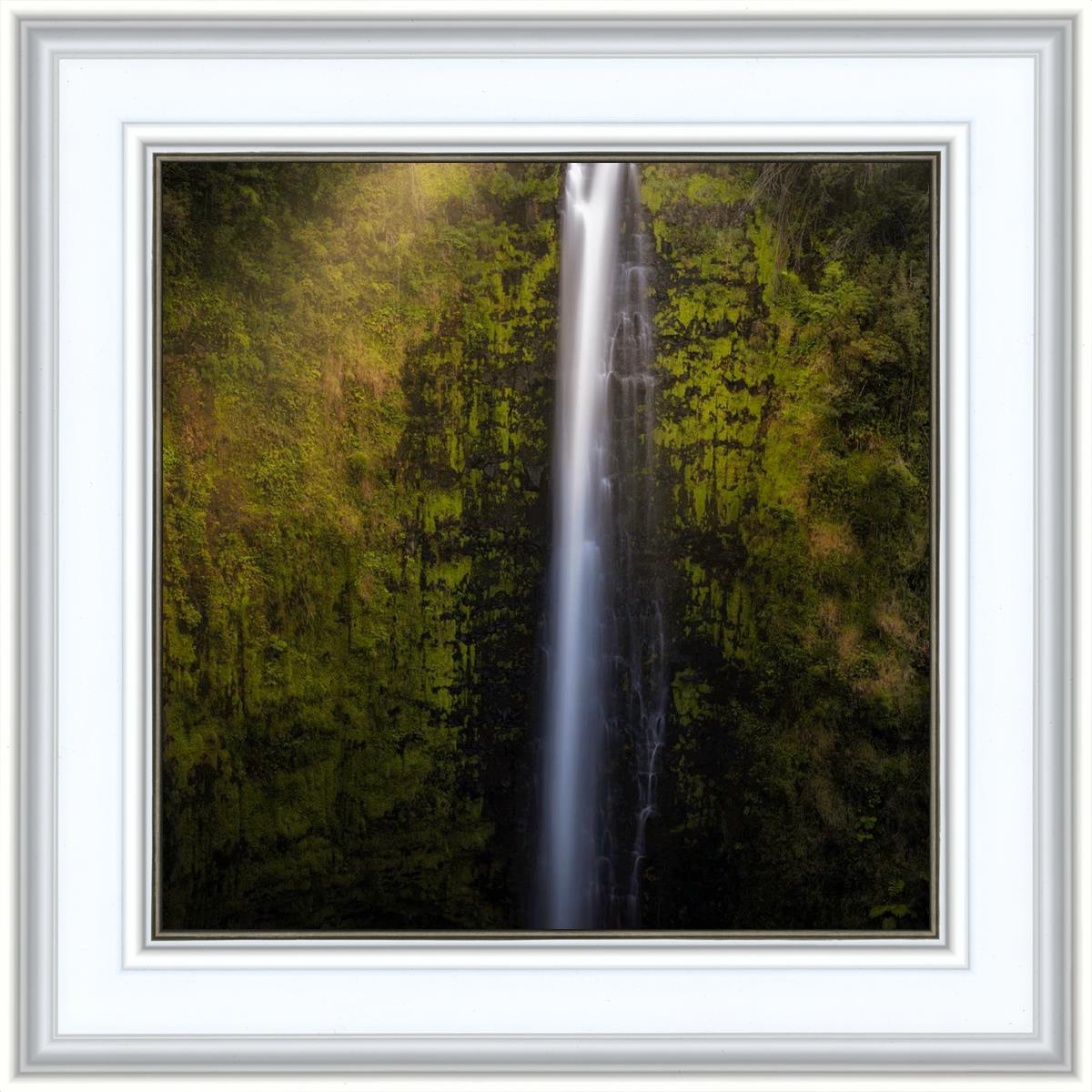 Akaka Falls Aloha