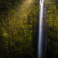 Akaka Falls Aloha