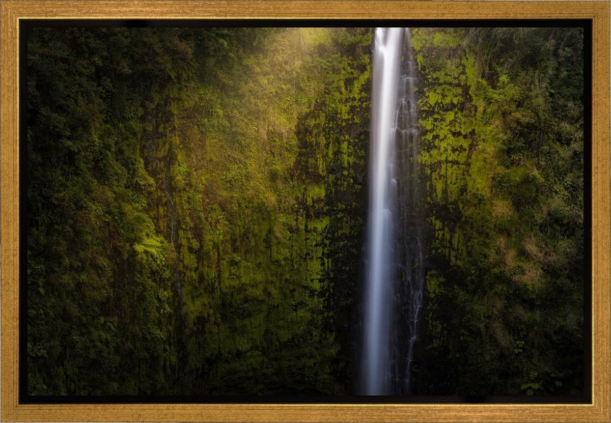 Akaka Falls Aloha Gallery Wrap