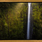 Akaka Falls Aloha