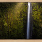 Akaka Falls Aloha