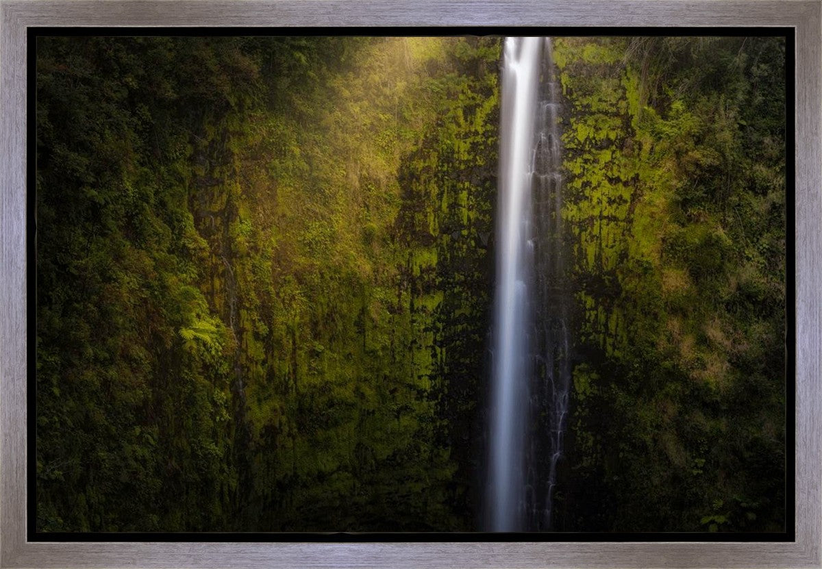 Akaka Falls Aloha Gallery Wrap