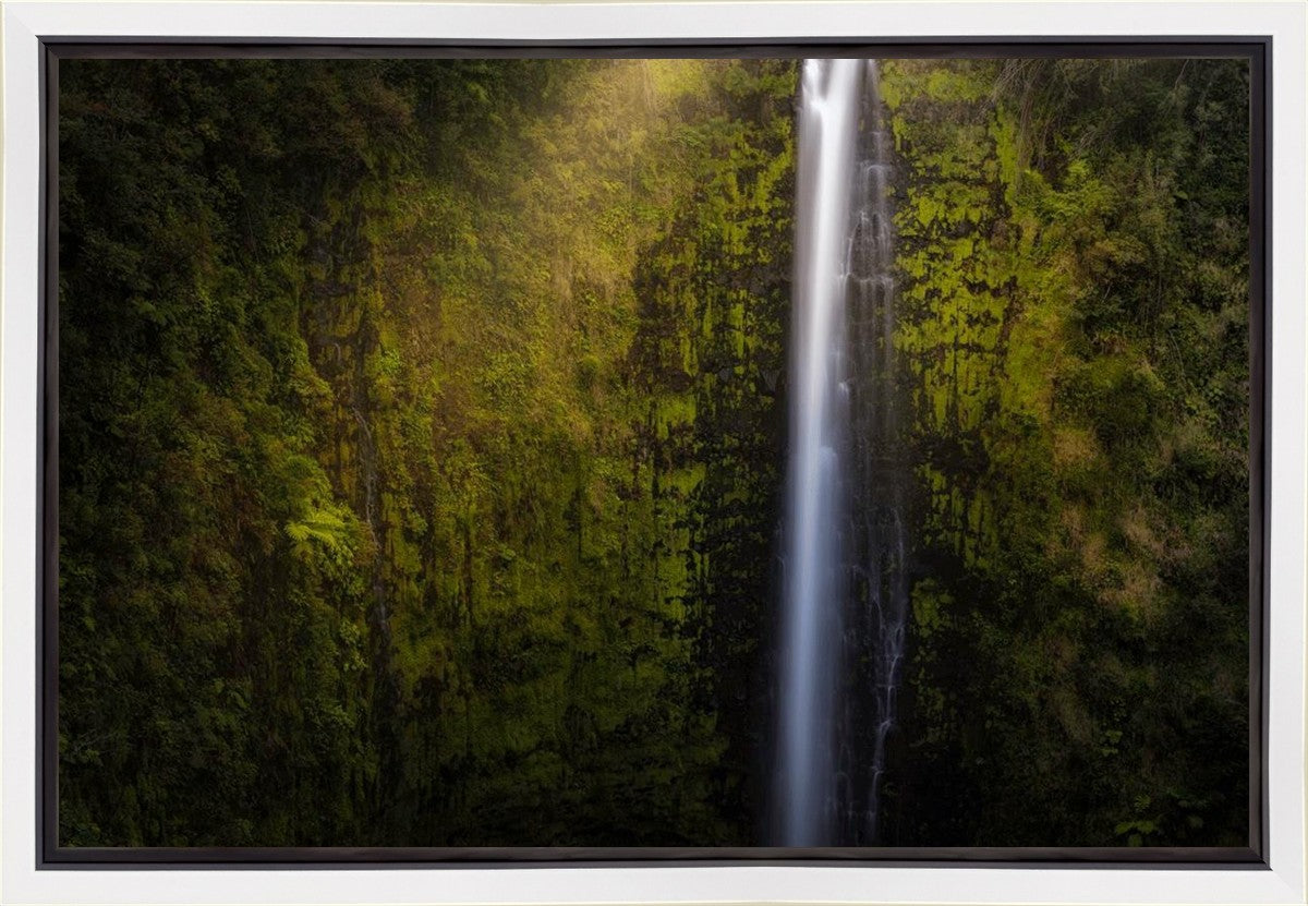 Akaka Falls Aloha Gallery Wrap